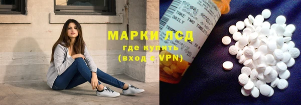 прущие грибы Алзамай