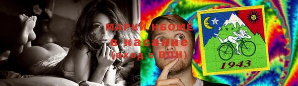 прущие грибы Алзамай