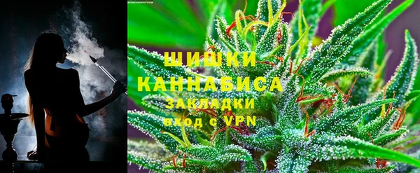 прущие грибы Алзамай