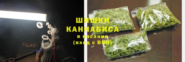 прущие грибы Алзамай