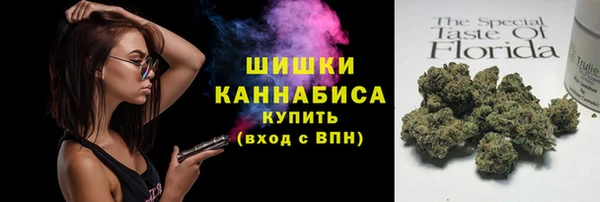 прущие грибы Алзамай