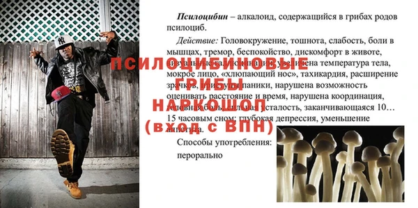 герыч Алексин