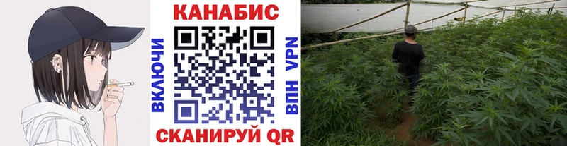 это формула Багратионовск Каннабис MAZAR